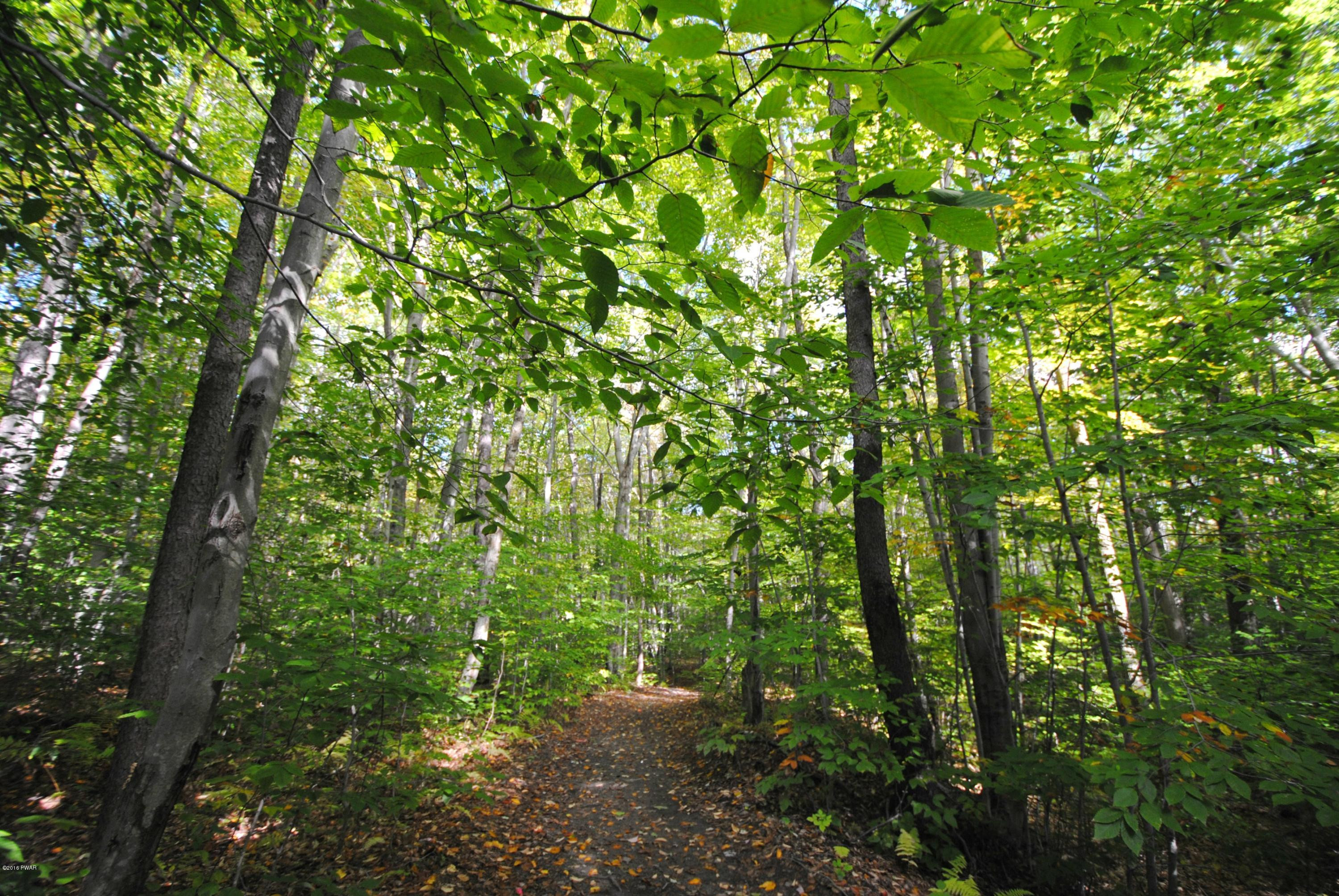 Maple Street Forest City, PA 18421 - Photo 2 of 10