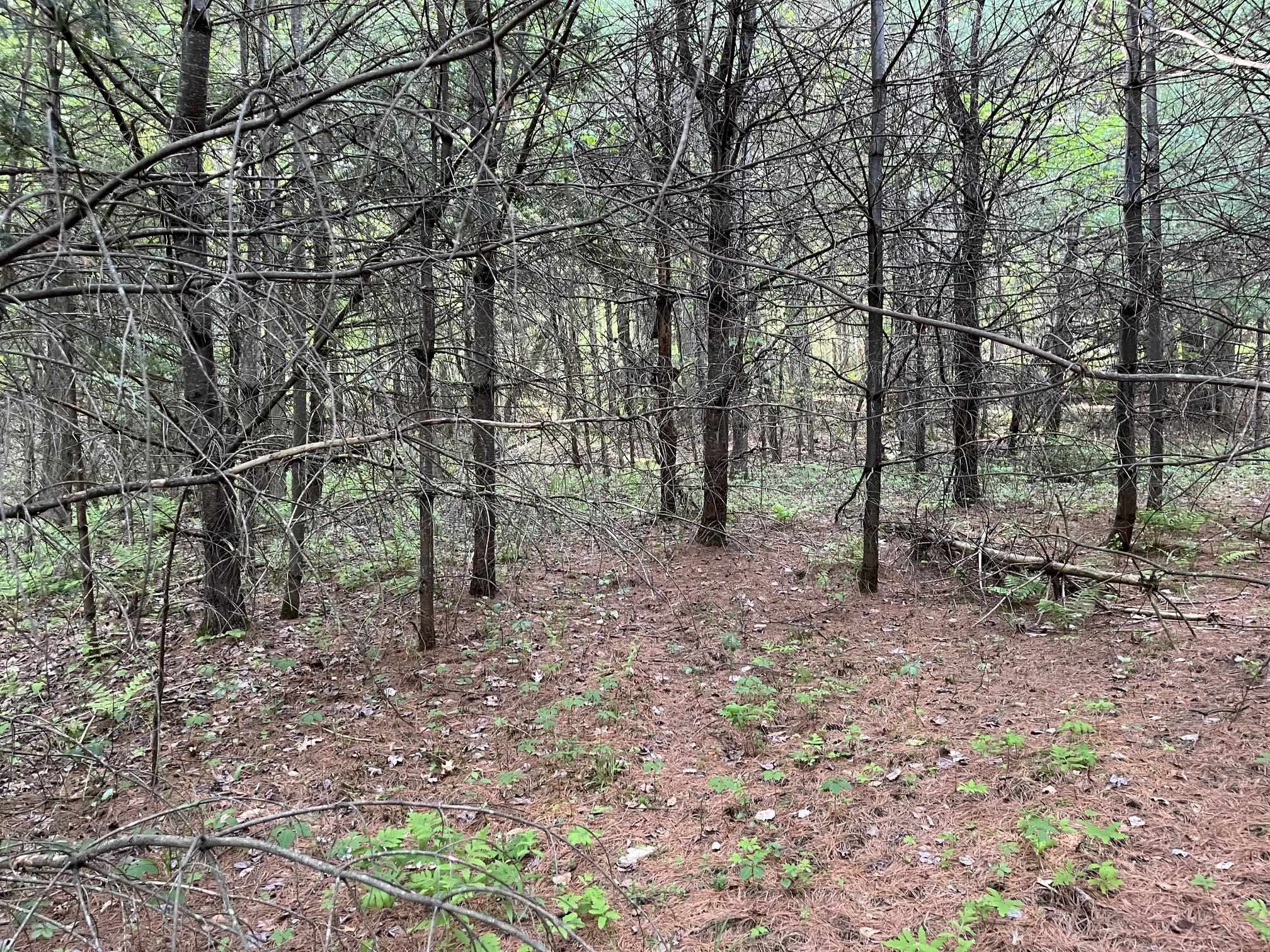 31 River Road Bath, NH 03740 - Photo 21 of 26