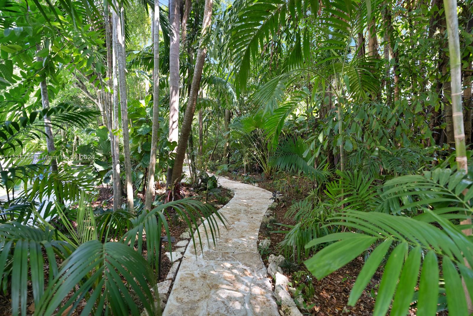 3685 Royal Palm Avenue Miami, FL 33133 - Photo 33 of 41 a view of yard