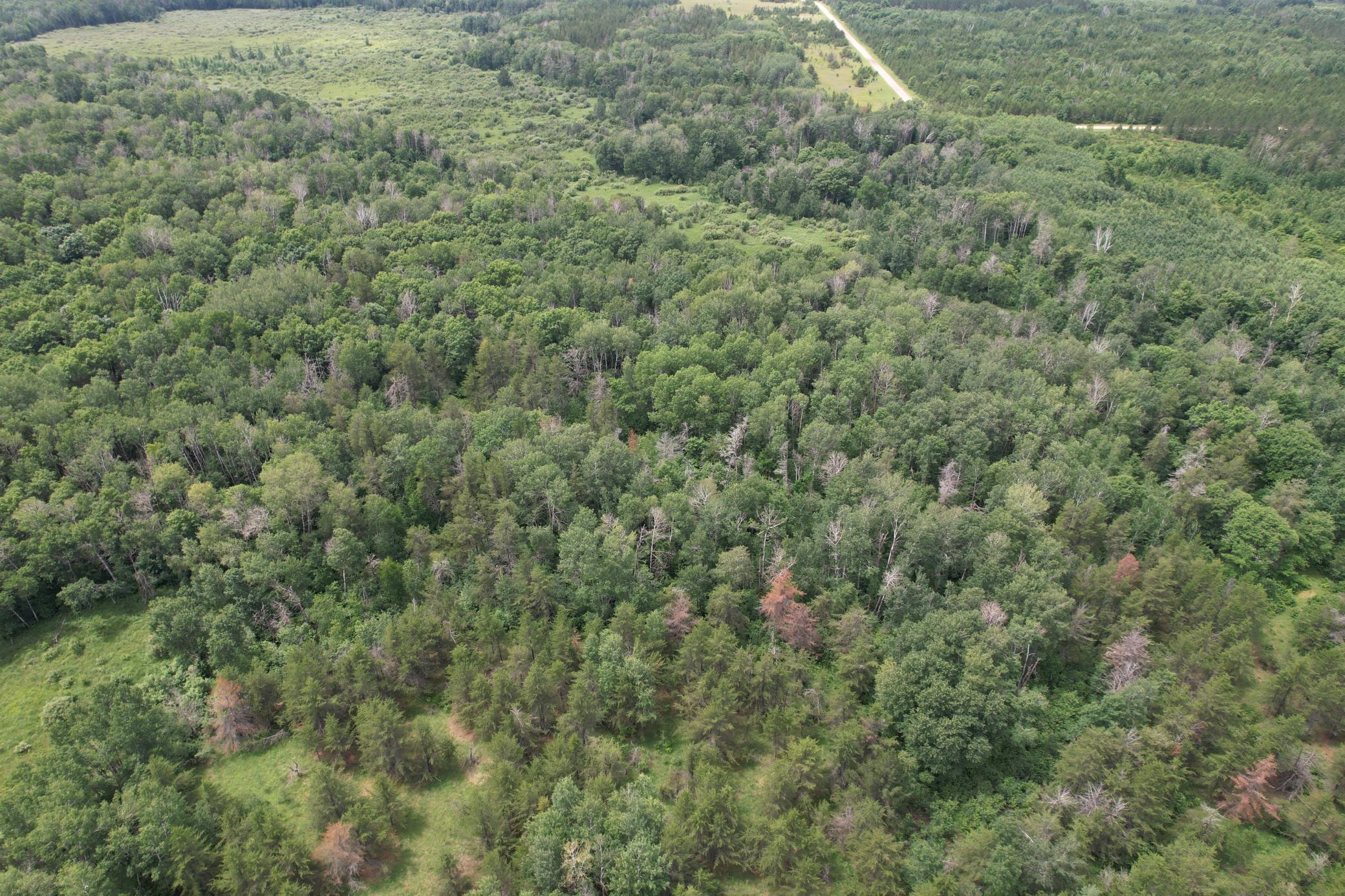 Tbd 350th Street Sebeka, MN 56477 - Photo 28 of 100