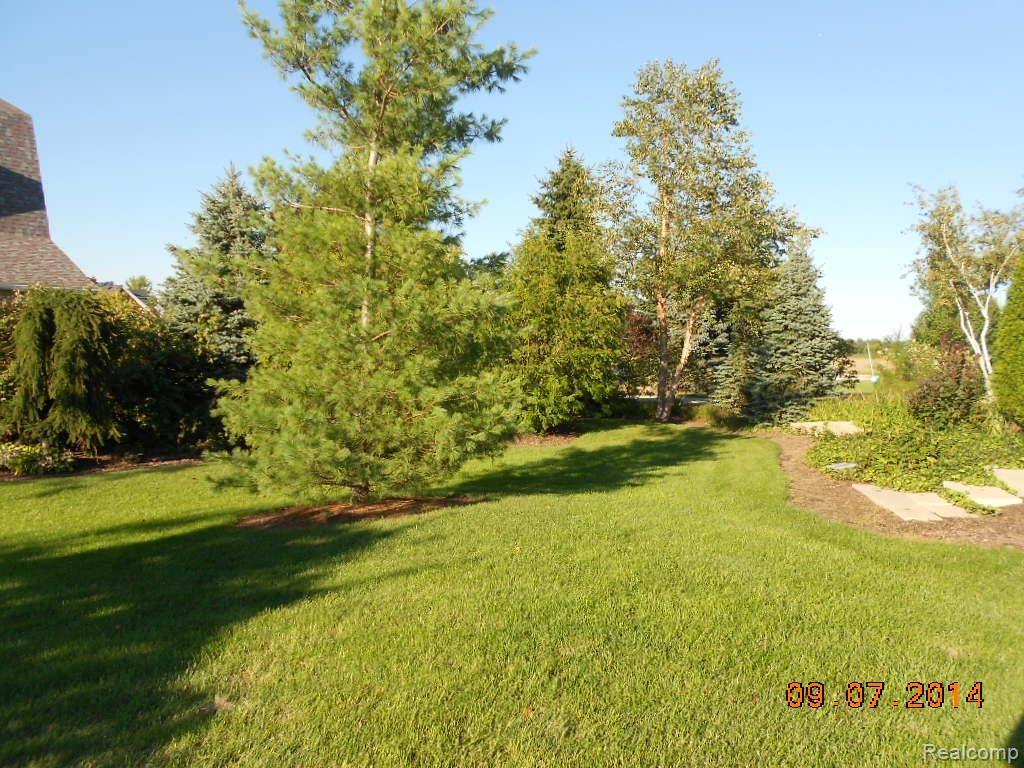 11453 Sweitzer Road Carleton, MI 48117 - Photo 18 of 43 DSCN3478.jpg