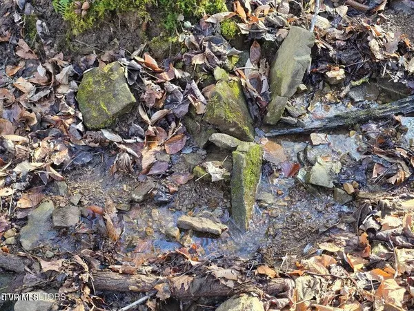 $659,900 | 5316 Highway 66, Sneedville, TN 37869