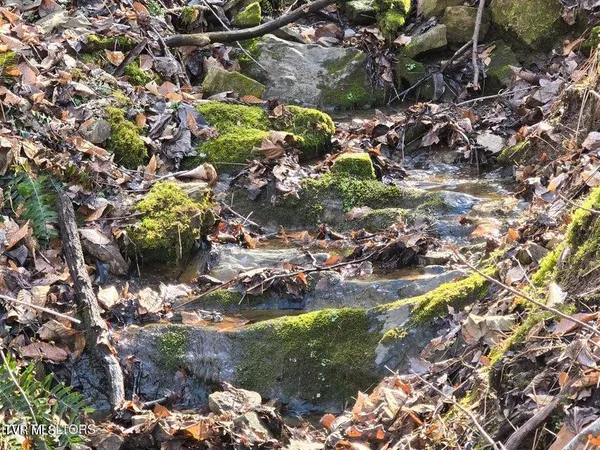 $659,900 | 5316 Highway 66, Sneedville, TN 37869