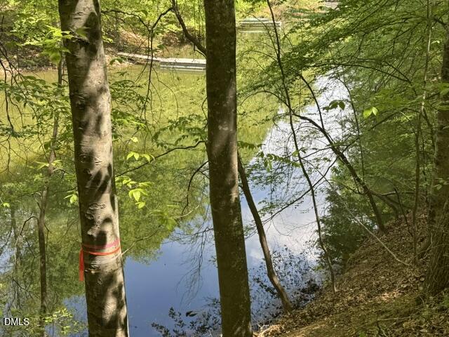 101 Stillwater Lane Roxboro, NC 27574 - Photo 2 of 38 IMG_6020