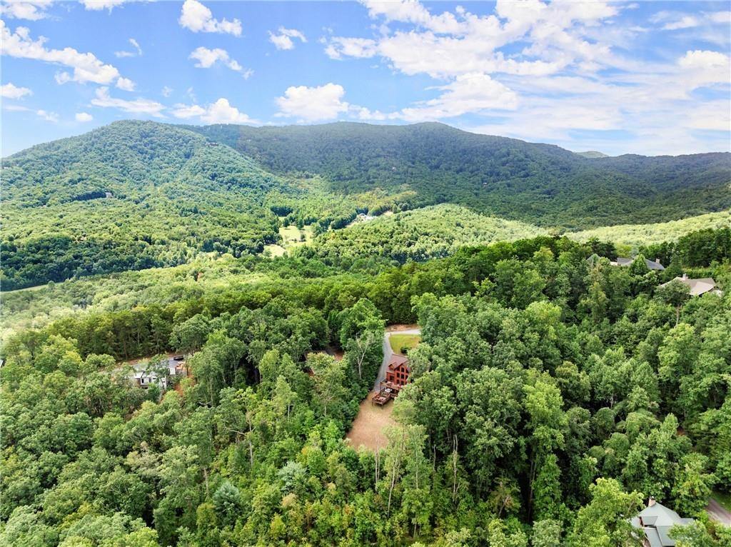 710 Deer Crest Road Blue Ridge, GA 30513 - Photo 87 of 96 Gallery Image 87