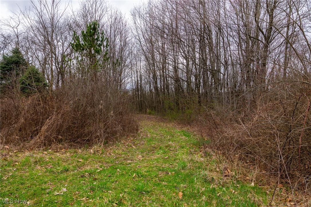 Oak Ridge Road Wellsville, OH 43968 - Photo 35 of 45 View of landscape