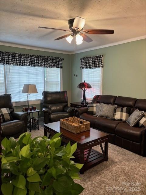 949 Grace Avenue Lancaster, SC 29720 - Photo 22 of 26