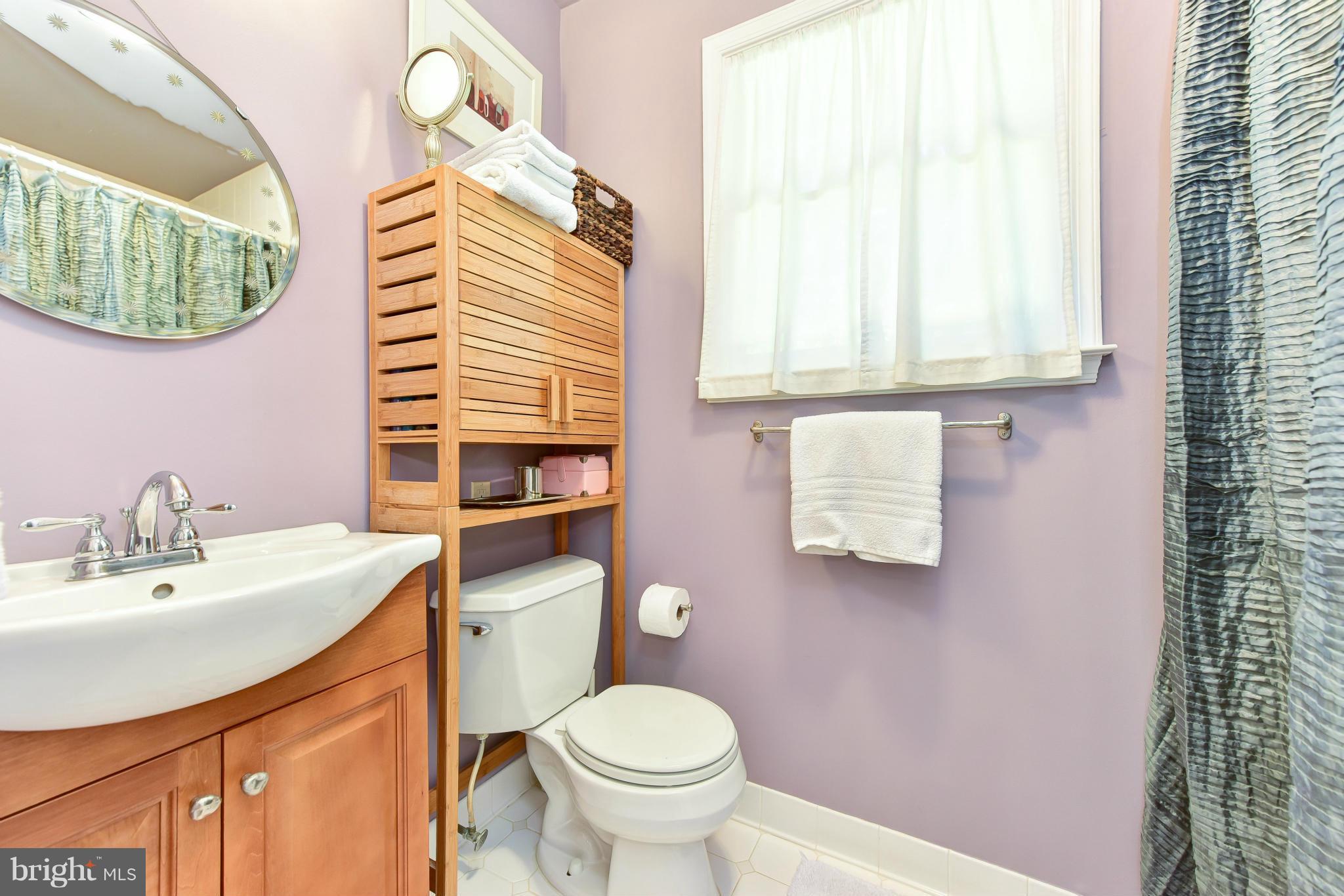 1312 Namassin Road Alexandria, VA 22308 - Photo 17 of 30 a bathroom with a sink a toilet and mirror