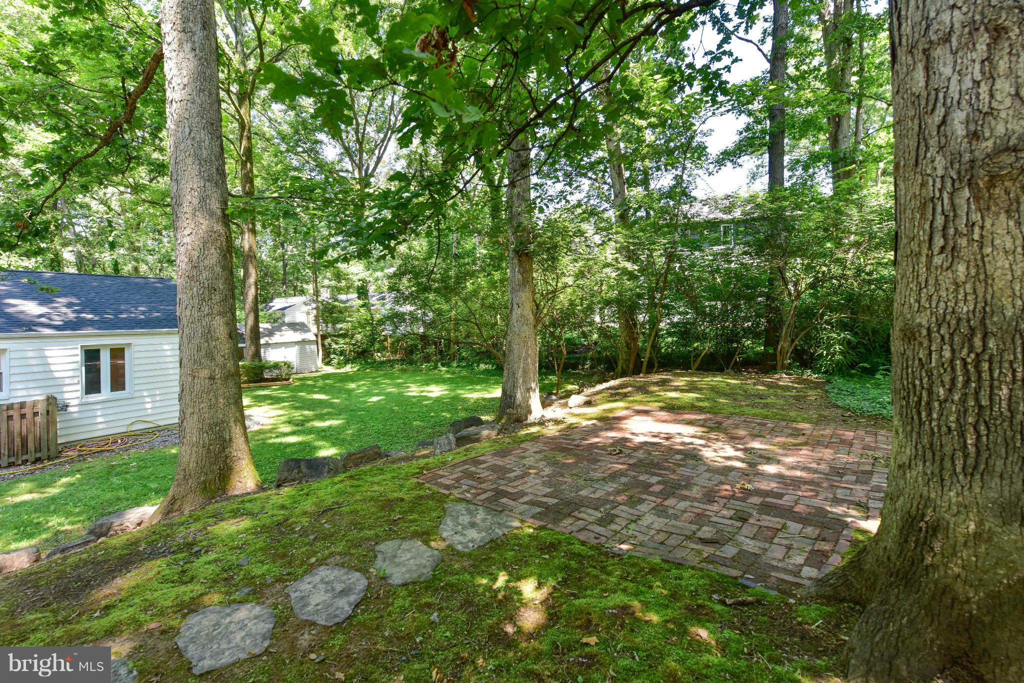 1312 Namassin Road Alexandria, VA 22308 - Photo 29 of 30 a view of a yard with plants and large trees
