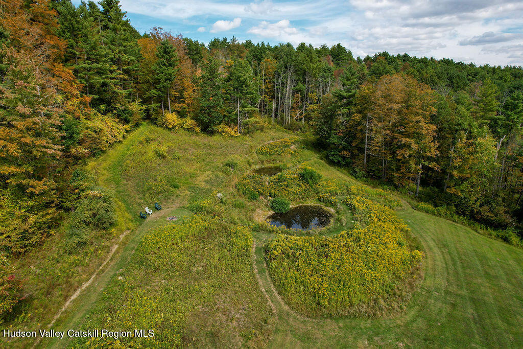 1457 N Road Blenheim, NY 12131 - Photo 39 of 43 a view of a yard