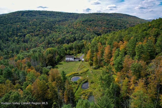 a view of a lush green forest with lots of trees