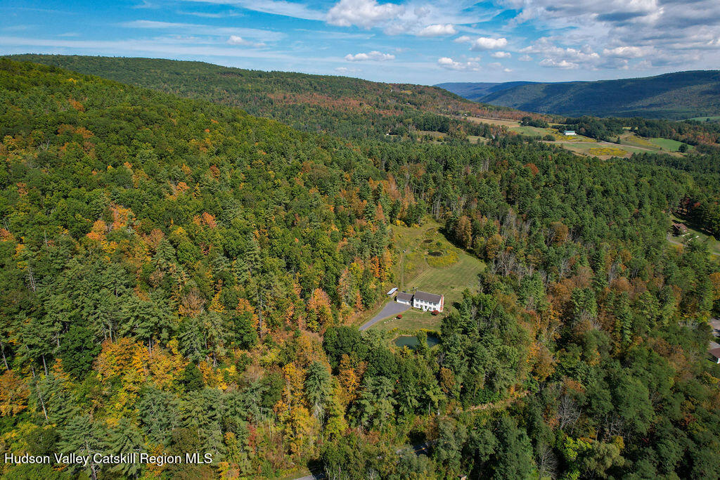 1457 N Road Blenheim, NY 12131 - Photo 42 of 43 a view of a lush green forest with lots of trees