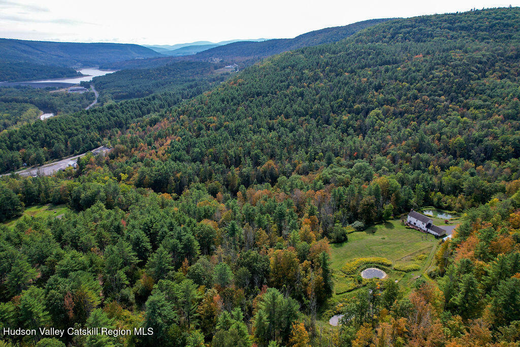 1457 N Road Blenheim, NY 12131 - Photo 6 of 43 a view of a lush green hillside and a houses