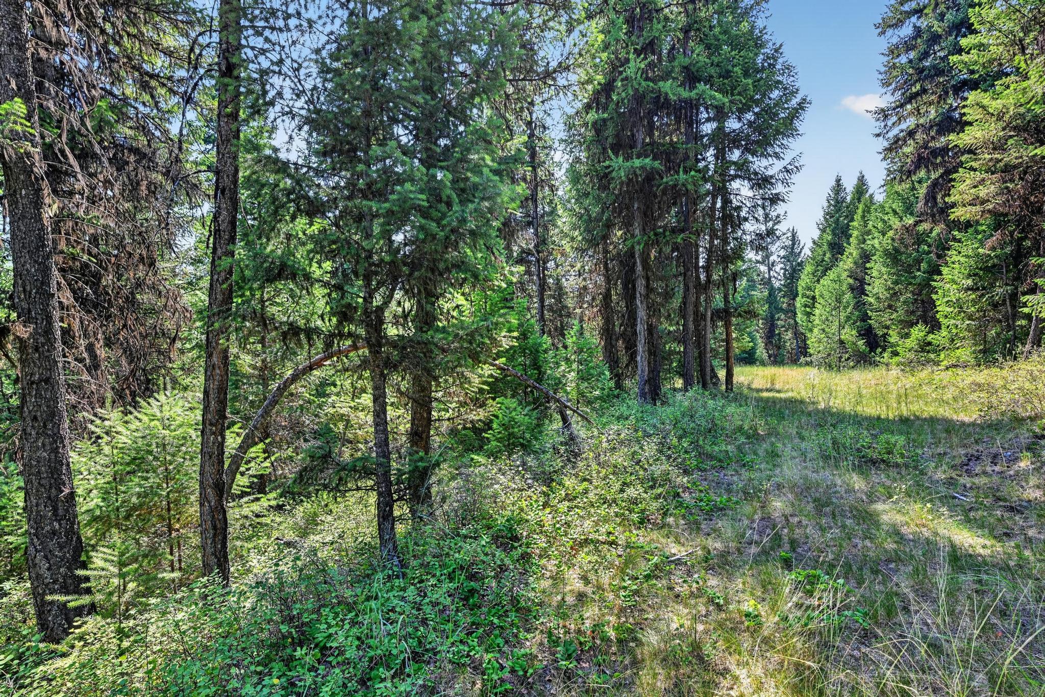 Lot 5 Forest Ridge Road Eureka, MT 59917 - Photo 18 of 23 Gallery Image 18