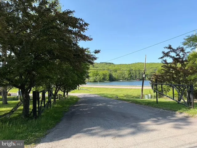 a view of a tree in a yard