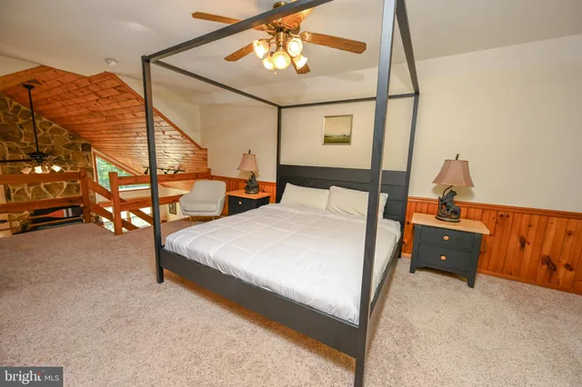 a view of a park with large trees and a swing