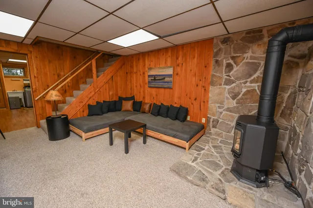 a view of a green field with lots of plants in it