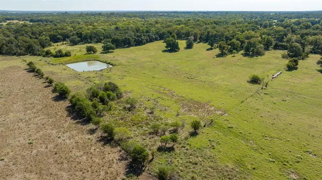 a view of a green field