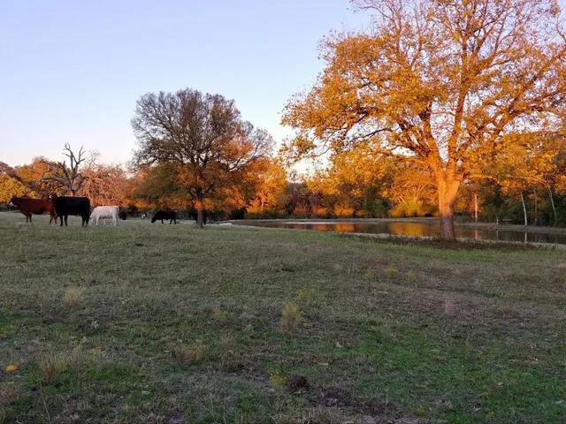 a view of lake with green space
