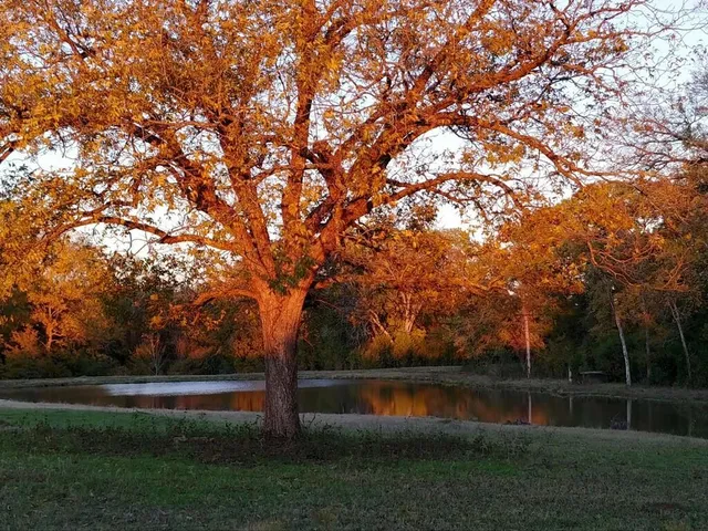 $1,164,500 | 975 County Road 412, Chilton, TX 76632