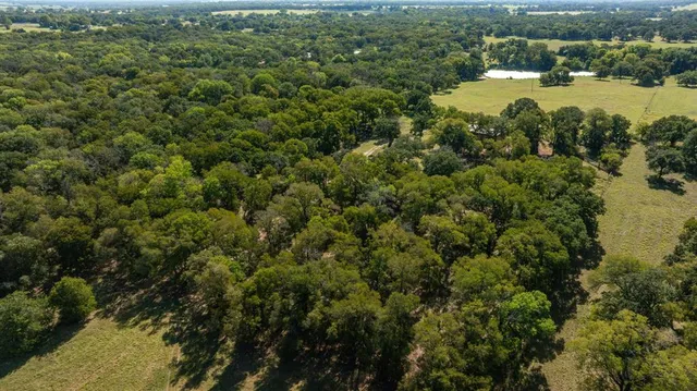 a view of a lake from a yard