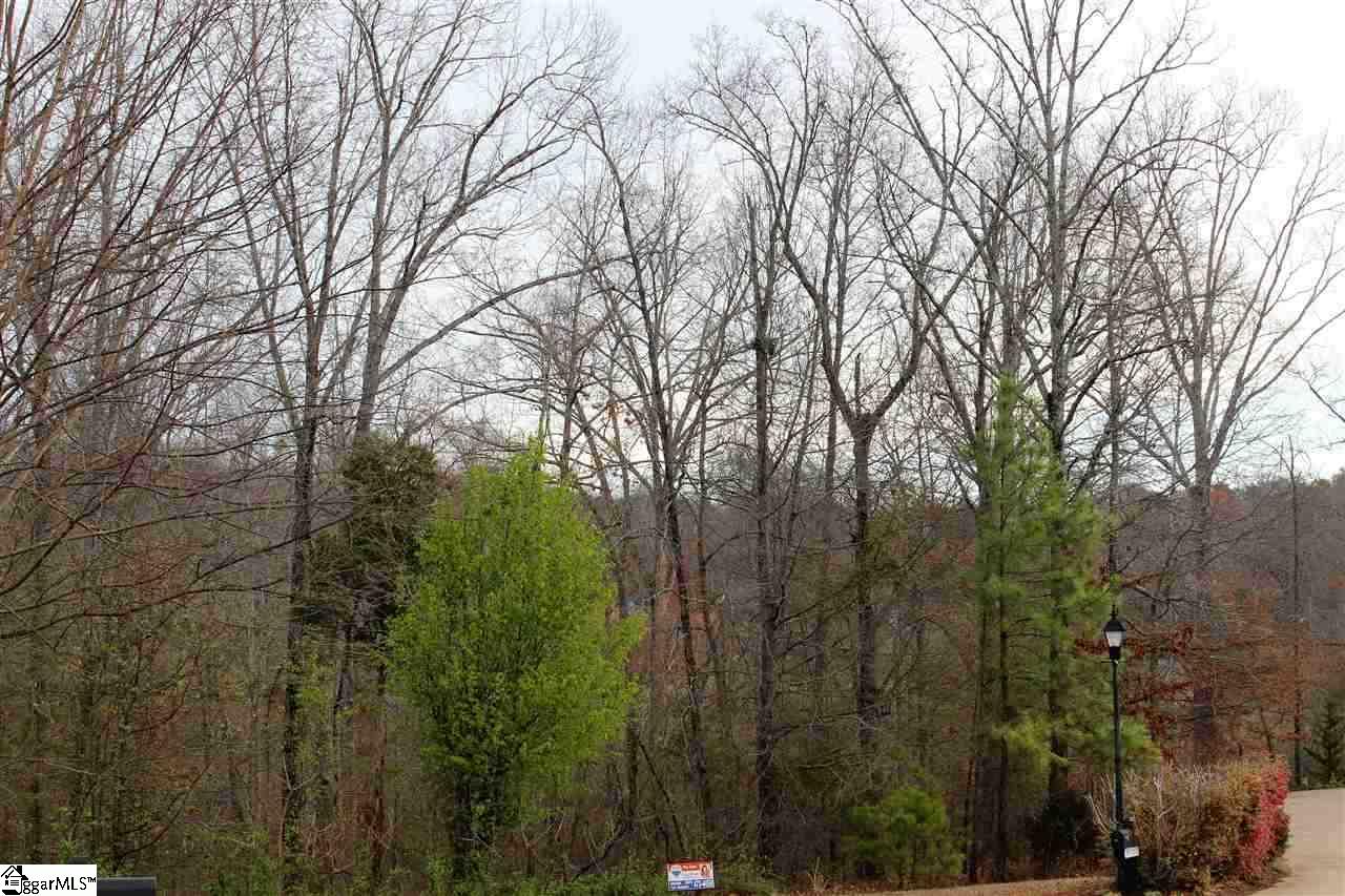 213 Pawleys Court Inman, SC 29349 - Photo 16 of 21 Gallery Image 16