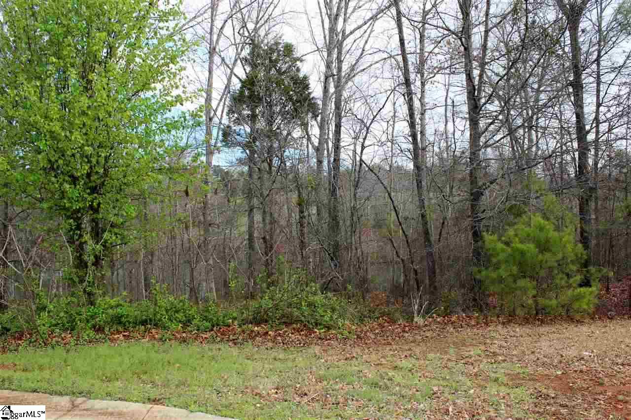 213 Pawleys Court Inman, SC 29349 - Photo 4 of 21 Gallery Image 4
