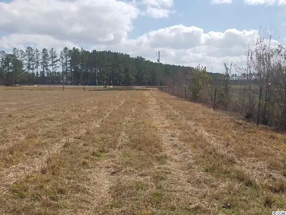 4207 Valley Forge Road Aynor, SC 29511 - Photo 2 of 12 Gallery Image 2