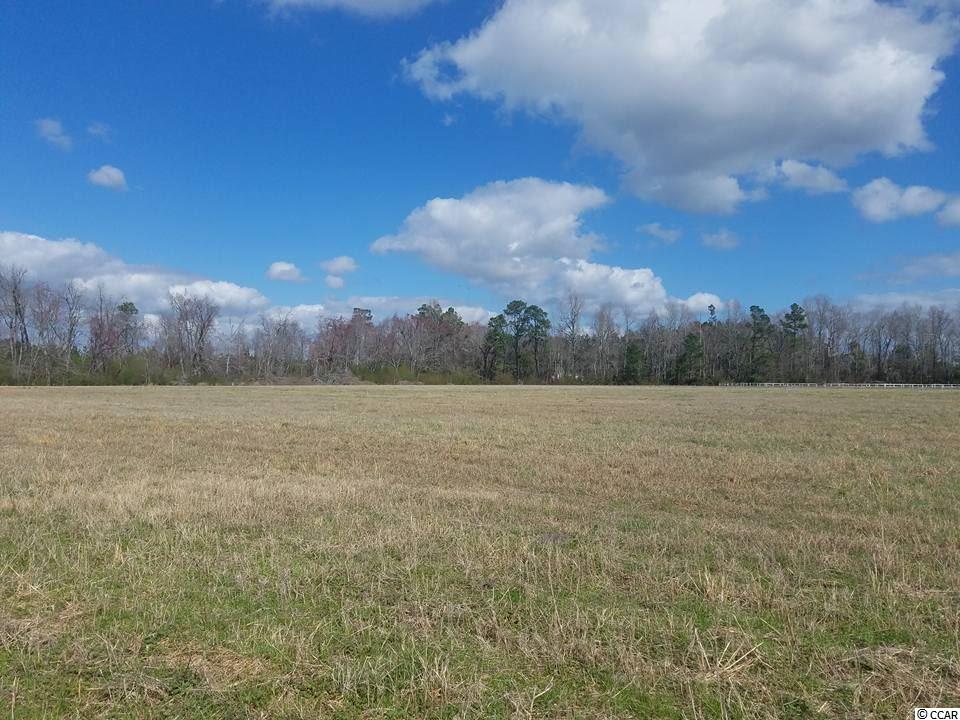 4207 Valley Forge Road Aynor, SC 29511 - Photo 3 of 12 Gallery Image 3