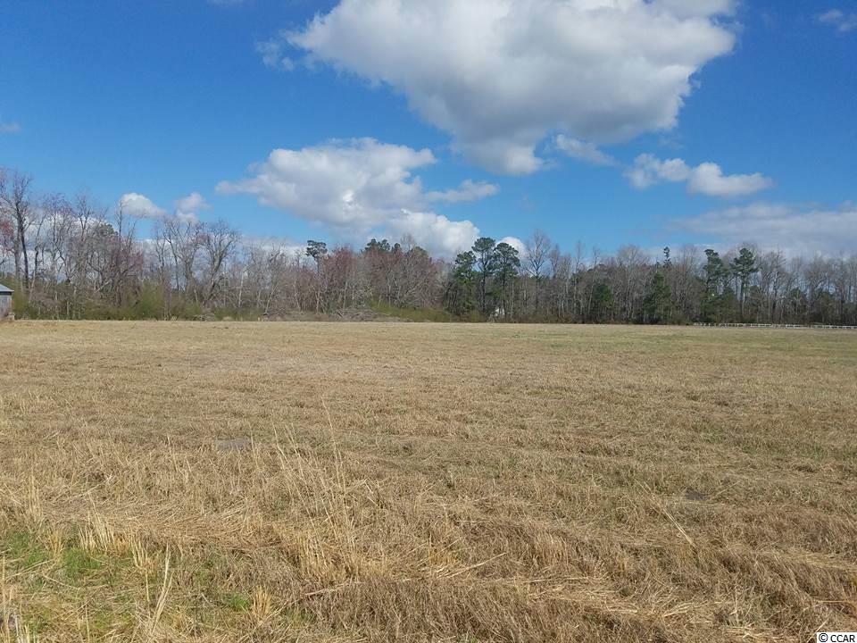 4207 Valley Forge Road Aynor, SC 29511 - Photo 5 of 12 Gallery Image 5