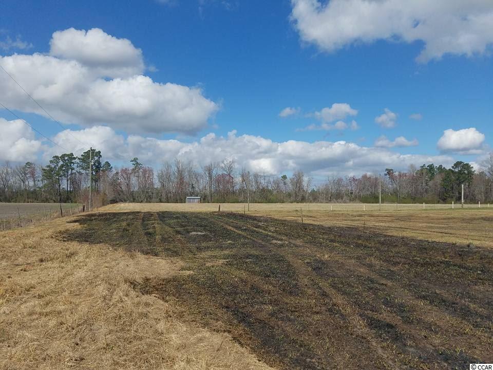 4207 Valley Forge Road Aynor, SC 29511 - Photo 10 of 12 Gallery Image 10