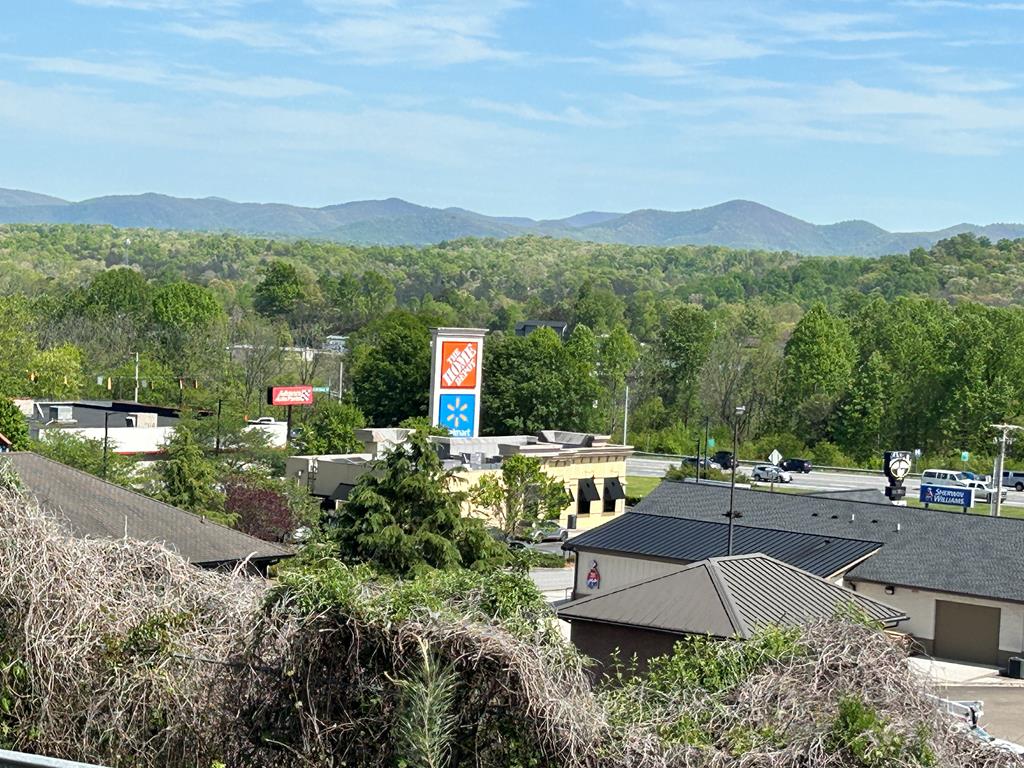 0 Blue Ridge Overlook Blue Ridge, GA 30513 - Photo 16 of 27 Gallery Image 16