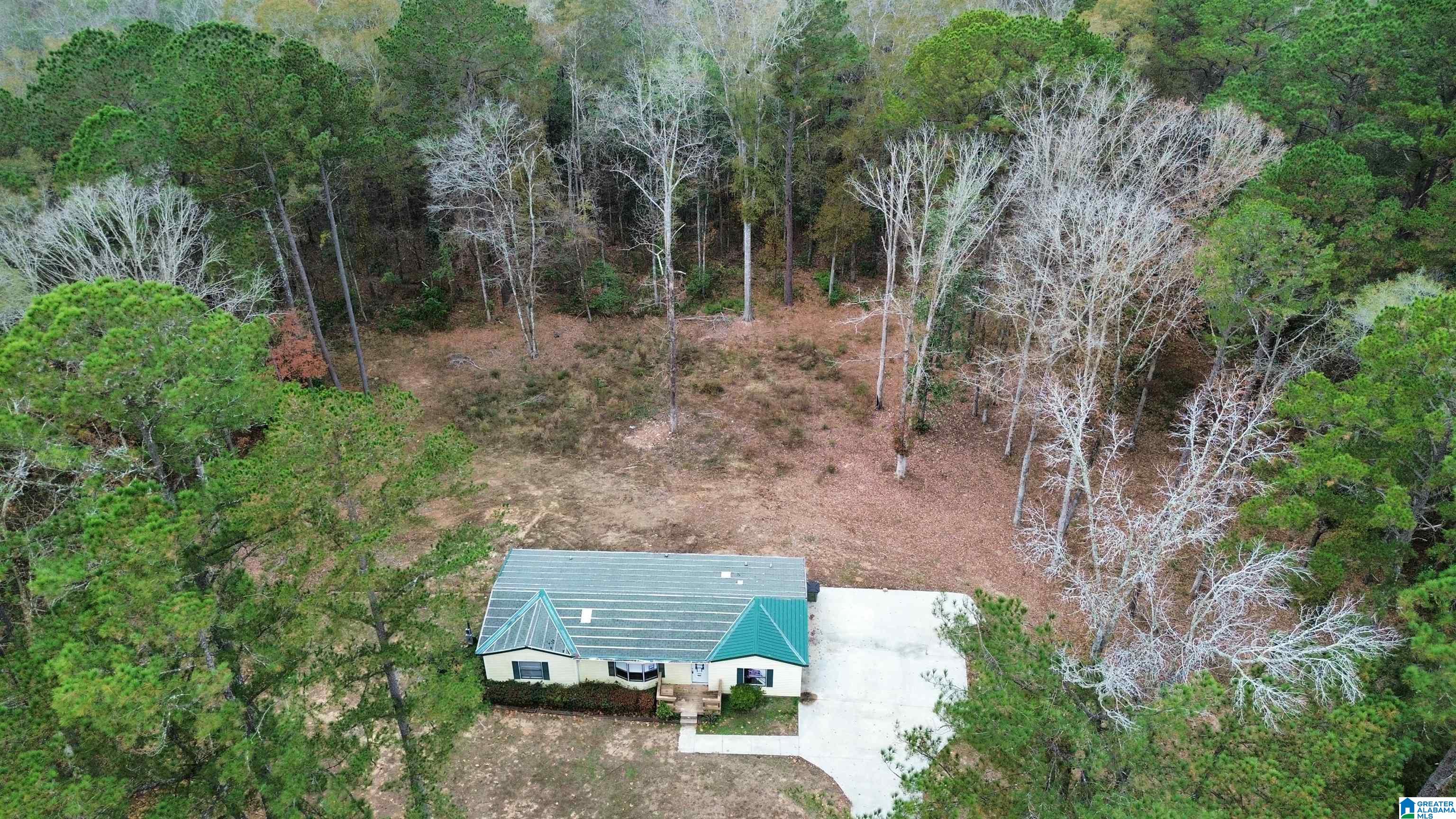 785 Marvin Parker Road Ozark, AL 36360 - Photo 4 of 30