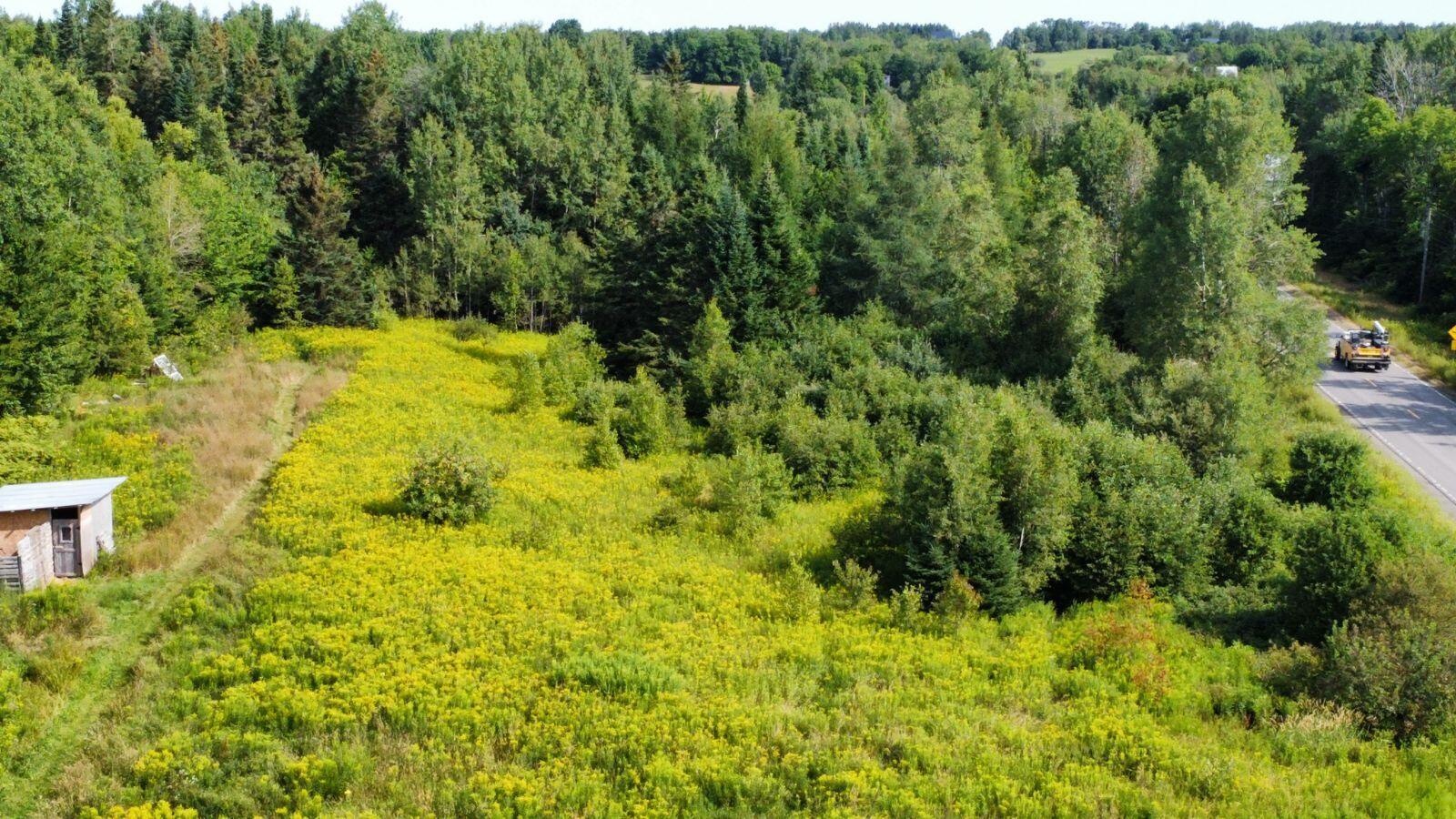 30 Island Falls Road Sherman, ME 04776 - Photo 22 of 26 dji_fly_20250805_092128_127_175440052117