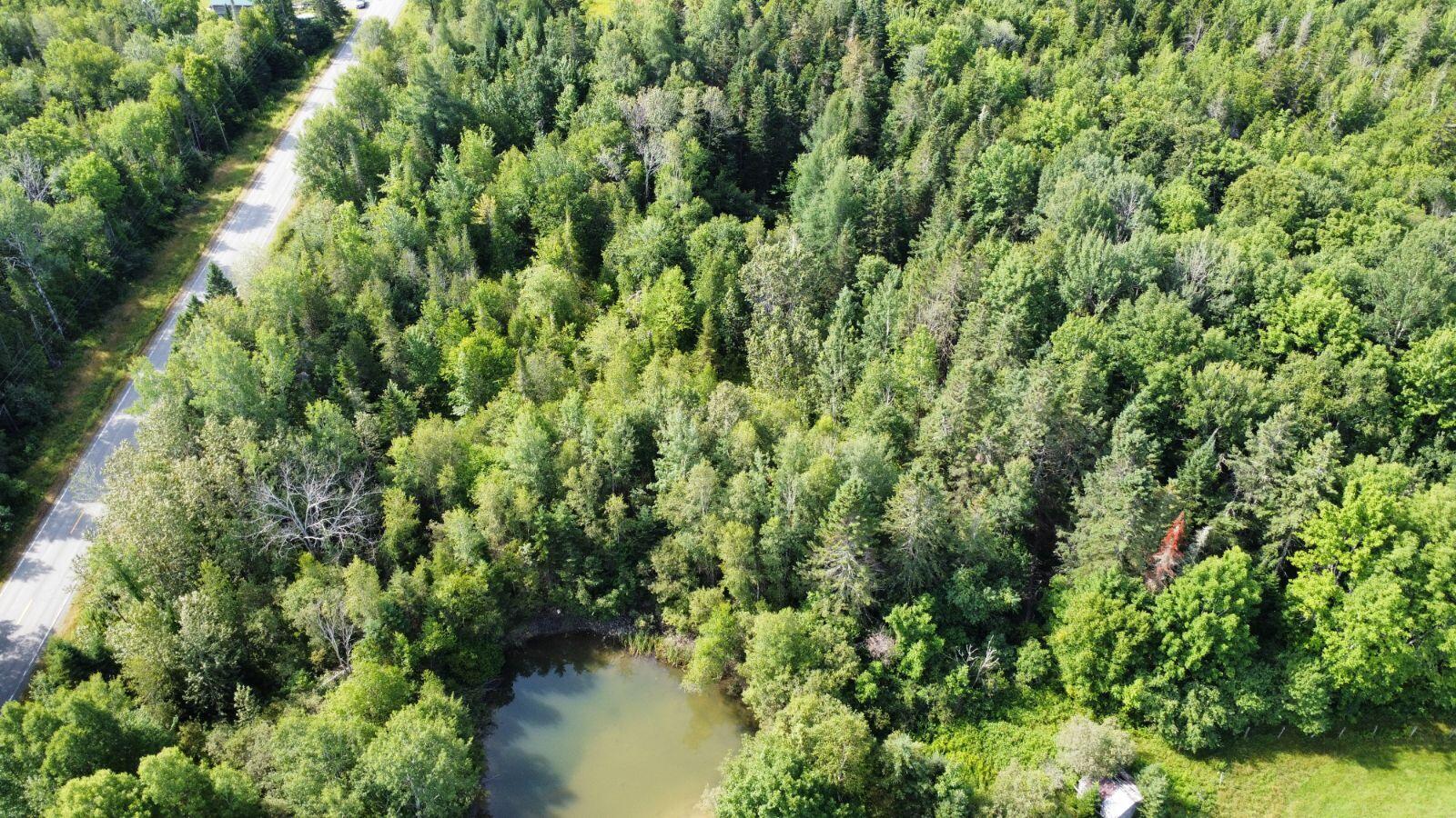 30 Island Falls Road Sherman, ME 04776 - Photo 7 of 26 dji_fly_20250805_092458_131_175440031327