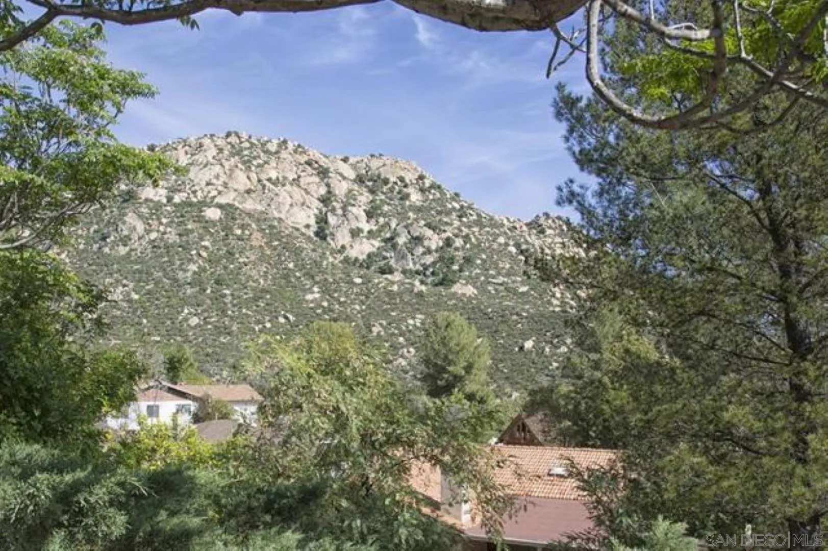16734 Georgios Way Ramona, CA 92065 - Photo 23 of 35 a view of a tree in a yard