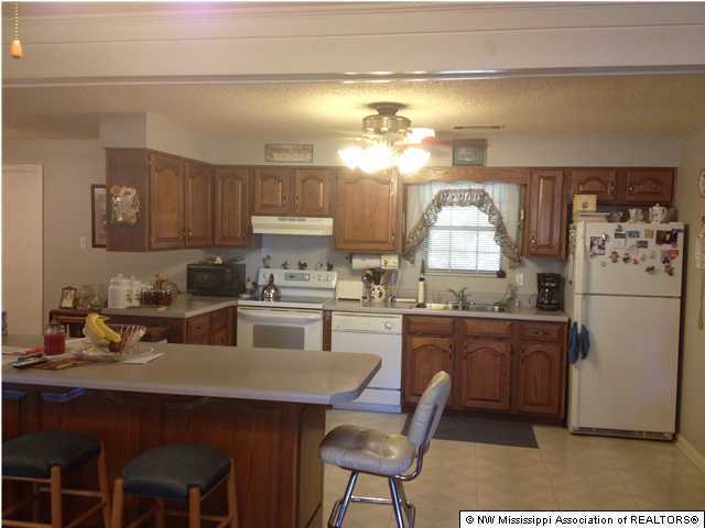 2849 Hunter Road Nesbit, MS 38651 - Photo 4 of 12 Additional Photo