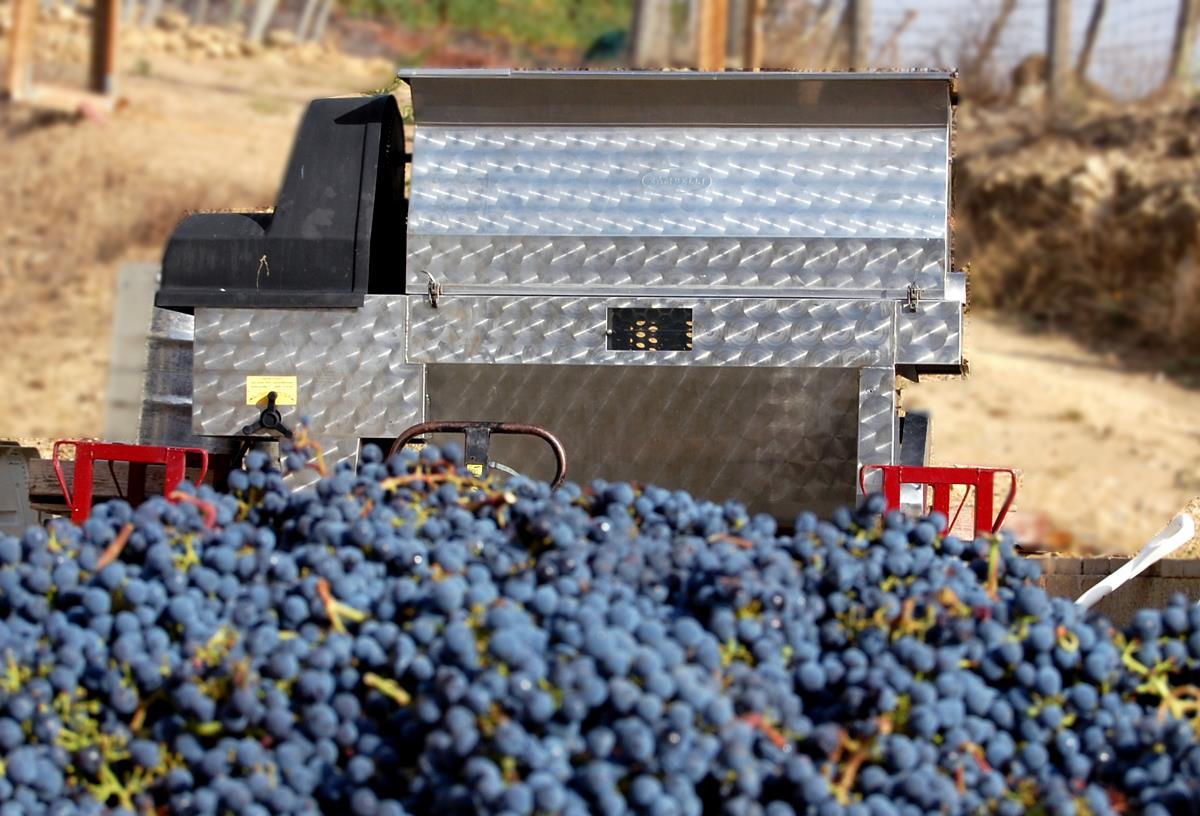 4545 Felter Road Milpitas, CA 95035 - Photo 11 of 18