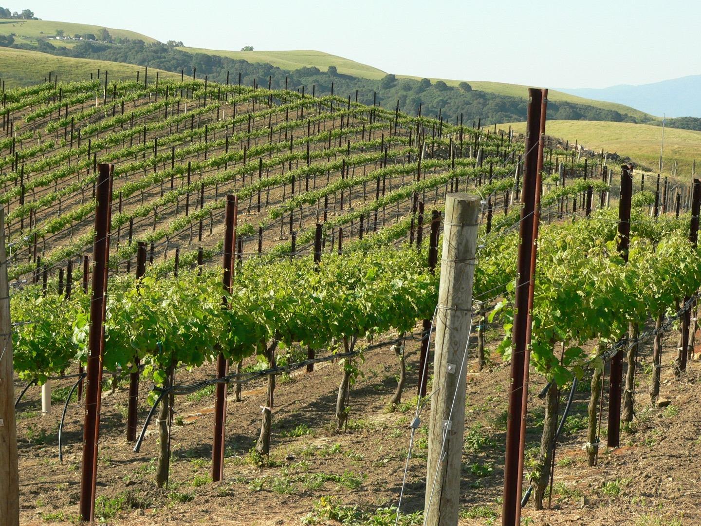 4545 Felter Road Milpitas, CA 95035 - Photo 12 of 18 a view of an outdoor space