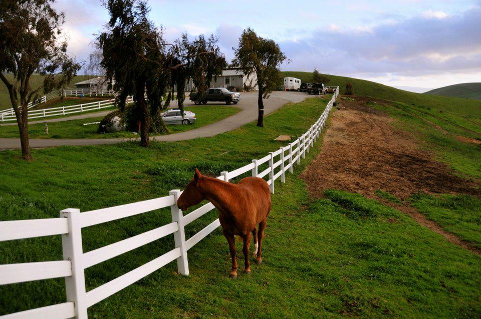 4545 Felter Road Milpitas, CA 95035 - Photo 14 of 18 a view of a garden with a bench and trees