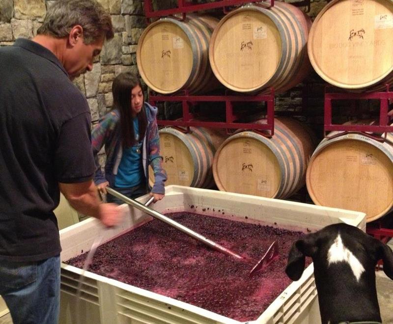 4545 Felter Road Milpitas, CA 95035 - Photo 8 of 18 an aerial view of a kitchen with a fireplace and wooden floor