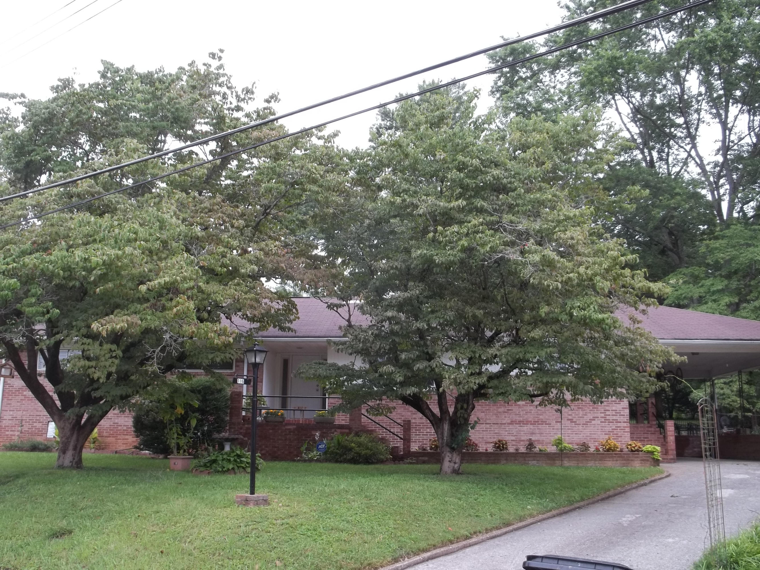 116 Venus Road Oak Ridge, TN 37830 - Photo 1 of 17 100_5864