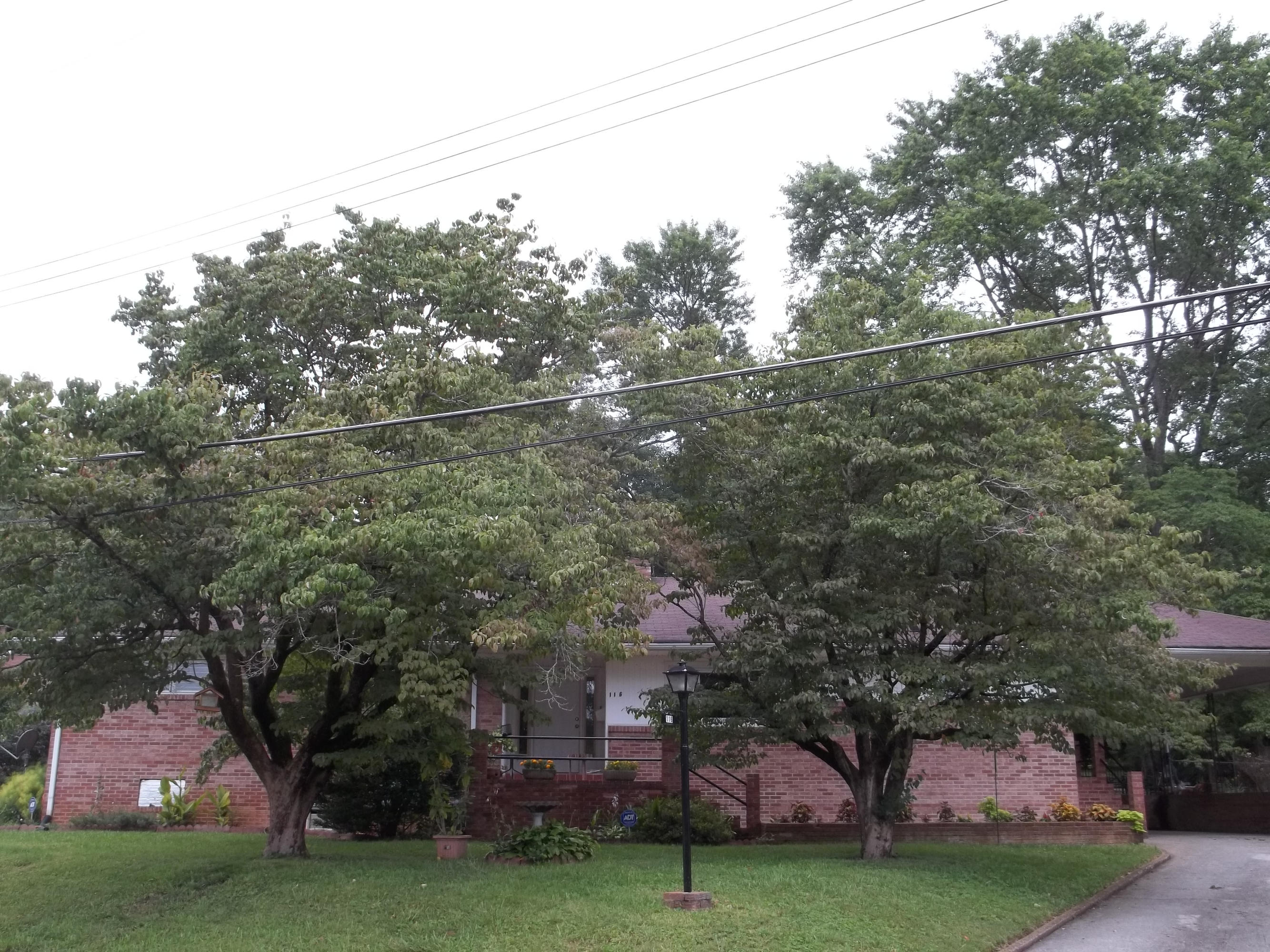 116 Venus Road Oak Ridge, TN 37830 - Photo 2 of 17 100_5863