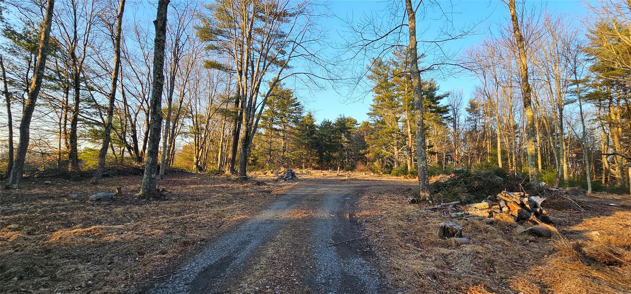 16.1 Beaverbrook Road Narrowsburg, NY 12764 - Photo 1 of 1 View of driveway