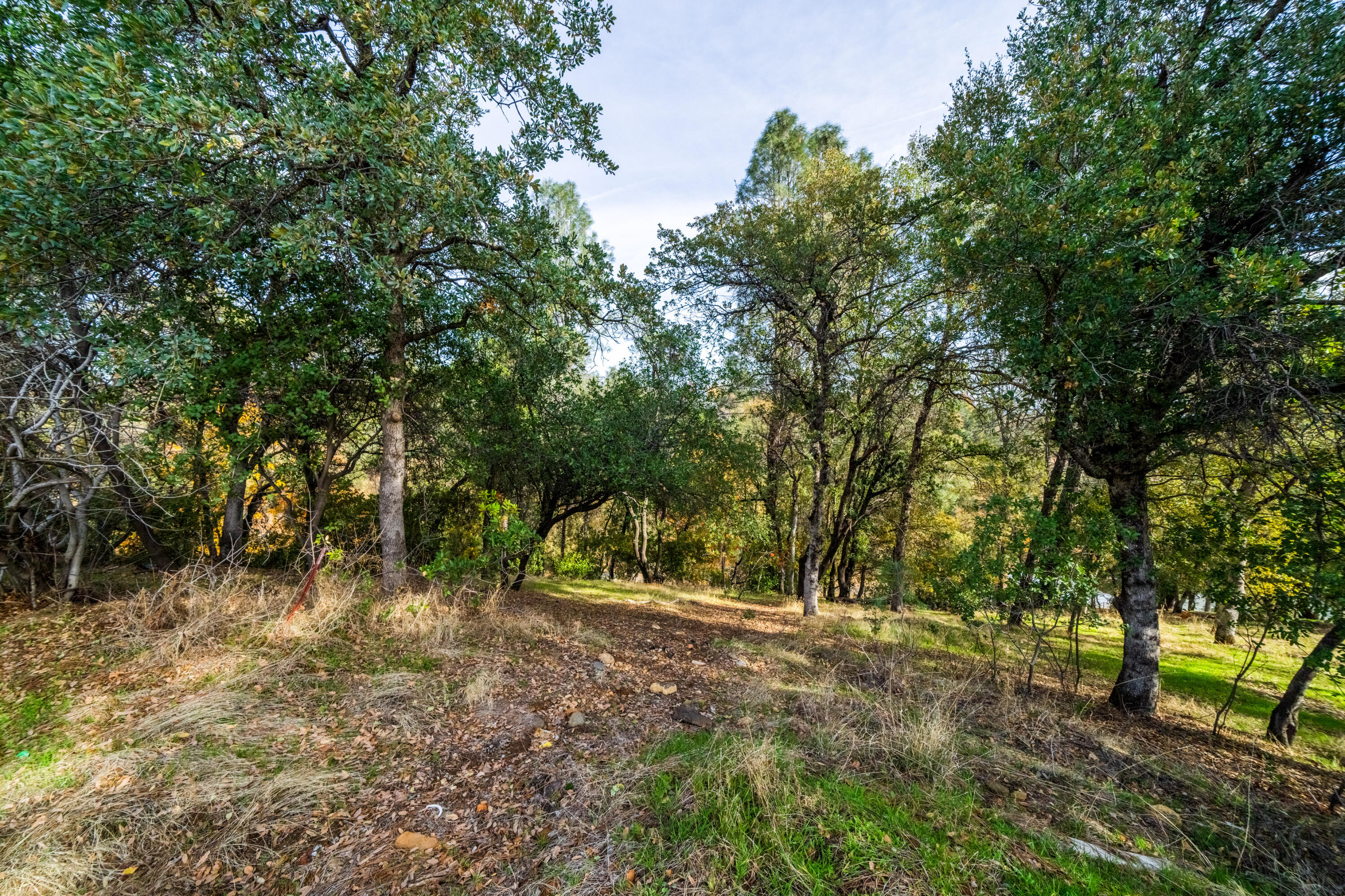 1330 Scenic Way Redding, CA 96001 - Photo 35 of 43 a view of outdoor space and yard