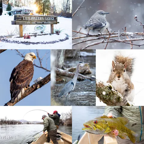 $5,100,000 | 383 Tva Road South, Bristol, TN 37620