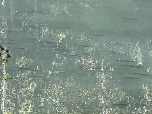 $5,100,000 | 383 Tva Road South, Bristol, TN 37620