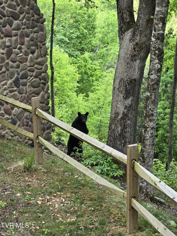 $5,100,000 | 383 Tva Road South, Bristol, TN 37620