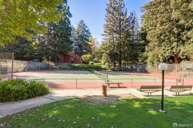 a view of a park with large trees