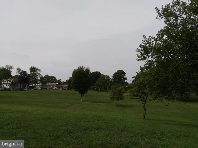 a view of a grassy field with trees